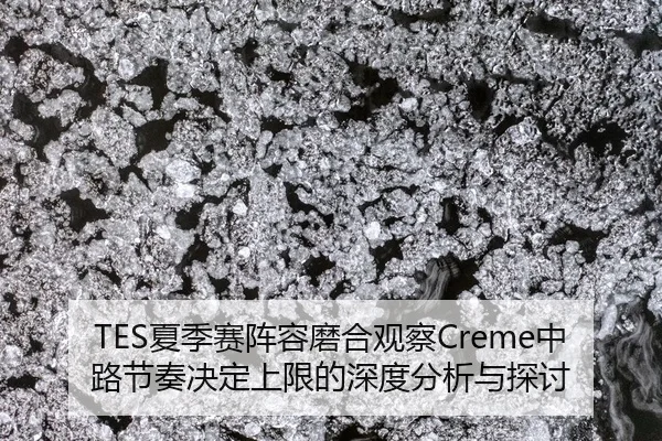 xia-ji-sai-zhen-rong-mo-he-guan-cha-zhong-lu-jie-zou-jue-ding-shang-xian-de-shen-du-fen-xi-yu-tan-tao-2-262.jpg